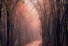 体育跨界元宇宙 再现20世纪末北京马拉松参赛装备.