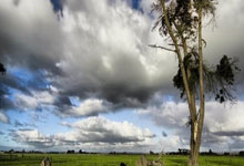 乒乓球亚洲杯：孙颖莎、王楚钦3战全胜 国乒12人悉数晋级.